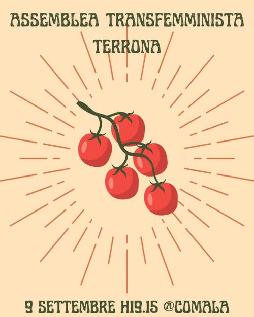 Assemblea Terrona Transfemminista non mista
