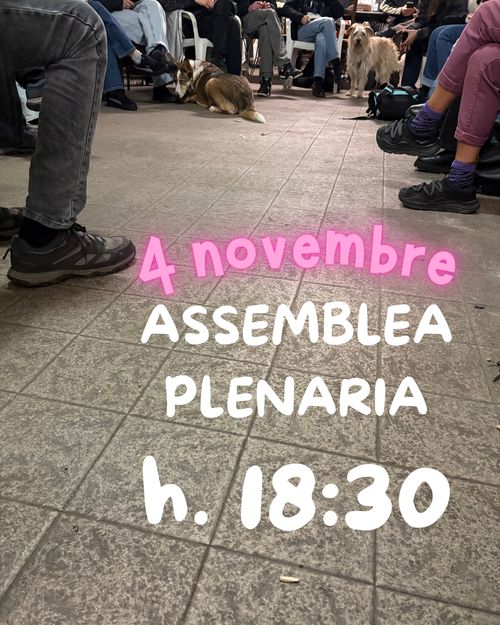 Assemblea Plenaria Food Not Bombs