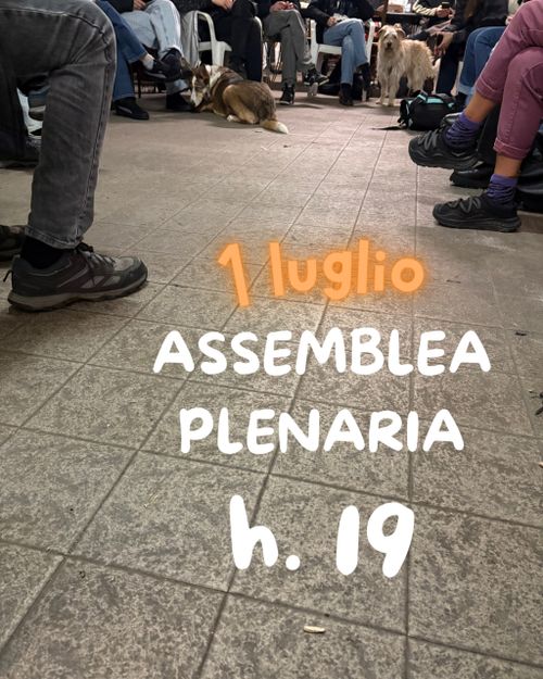Assemblea Plenaria Food Not Bombs