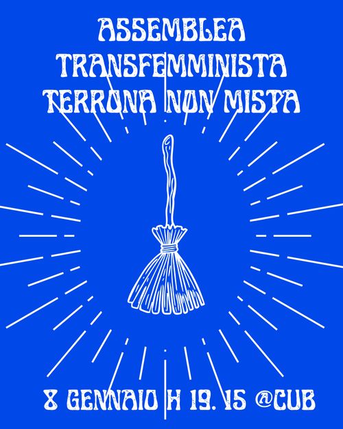Assemblea Terrona Transfemminista non mista 