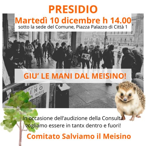 Presidio al comune! Salviamo il Meisino!