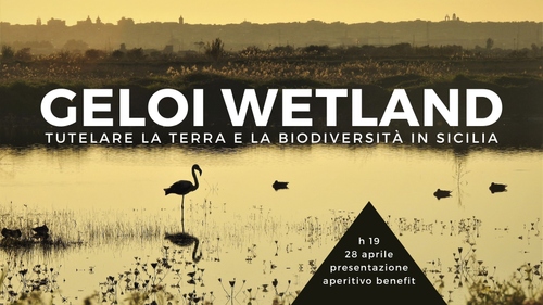 GELOI WETLAND - La tutela della Biodiversità in Sicilia: Presentazione + Aperitivo benefit!