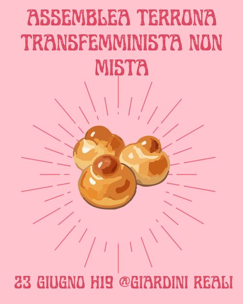 Assemblea Terrona transfemminista non mista 