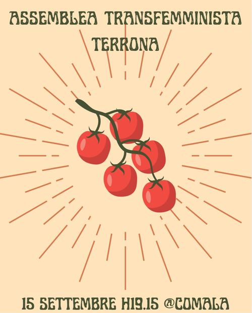 Assemblea Terrona Transfemminista non mista