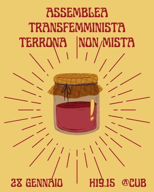 Assemblea Terrona Transfemminista non mista 