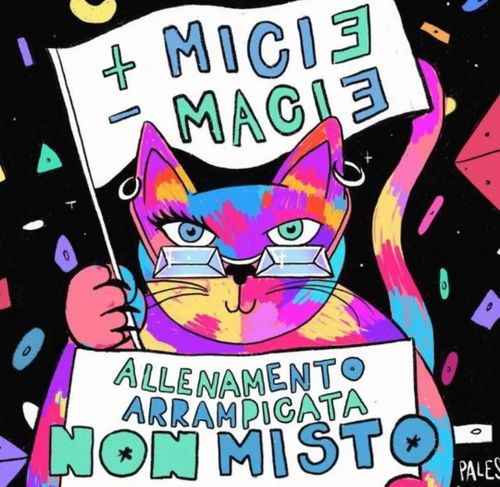 Arrampicata non mista alla PPDDN!