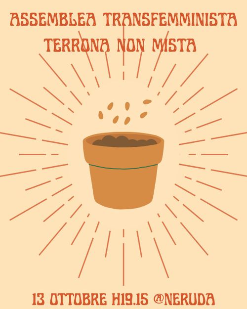 Assemblea Terrona Transfemminista non mista