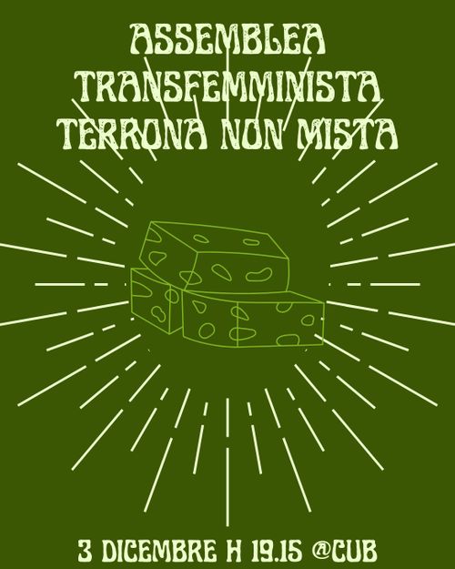 Assemblea Terrona Transfemminista non mista 