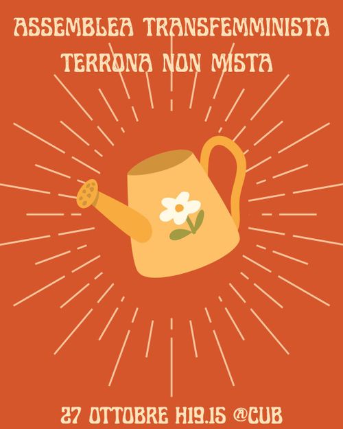 Assemblea Terrona Transfemminista non mista 