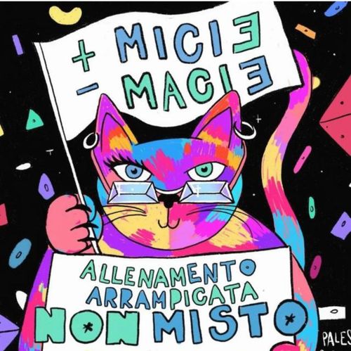 Arrampicata: allenamento non misto