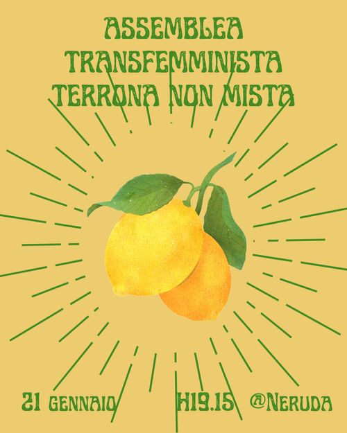Assemblea Terrona Transfemminista 