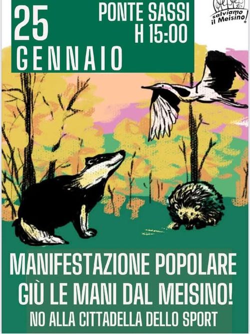 Giù le mani dal Meisino