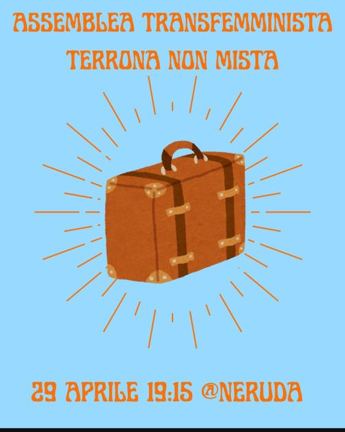 Assemblea terrona transfemminista Torino 