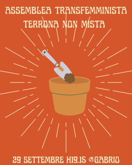 Assemblea Terrona Transfemminista non mista