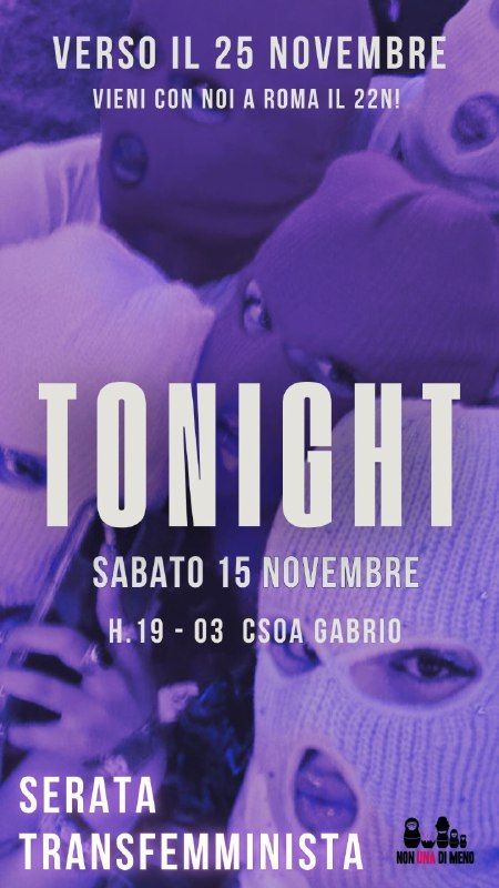 SERATA TRANSFEMMINISTA - verso il 25N